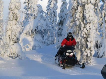 Bild 3 zur Urlaubsidee »Lappland-Wochenende für Singles - Driving on Snow & Ice«