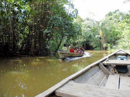Bild 3 zur Urlaubsidee »Eintauchen in Welt des Amazonas«