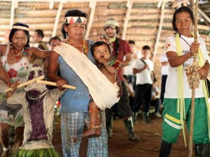 Bild 2 zur Urlaubsidee »Eintauchen in Welt des Amazonas«