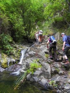 Bild 5 zur Urlaubsidee »La Gomera  – Wandern, Mountainbike-Tour, Schnupper-Tauchkurs! «