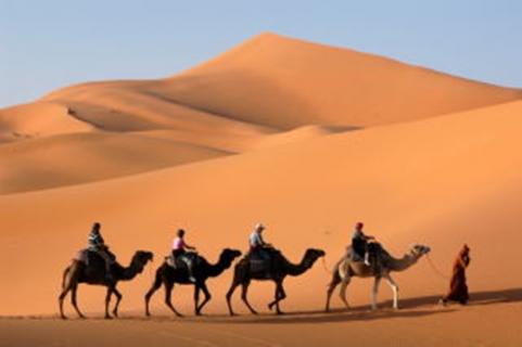Bild 3 zur Urlaubsidee »Yoga-Reise mit Kamel-Trekking am Rande der Sahara für Singles! «