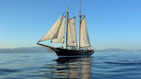 Bild 3 zur Urlaubsidee »Kieler Woche  3 Tage auf dem Single-Segelschiff mit dabei sein!«