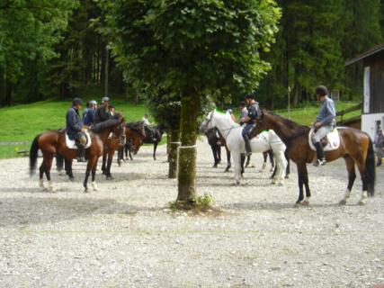 Bild 4 zur Urlaubsidee »Reitkurs für Singles & Alleinreisende in den Allgäuer Bergen - mit Postkartenpanorama!«