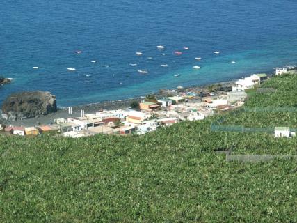 Bild 5 zur Urlaubsidee »La Palma Zen Retreat - Wege zur Fülle, Gesundheit & Energie«