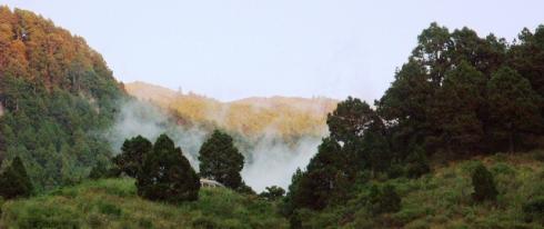 Bild 10 zur Urlaubsidee »Zen Workshop auf La Palma - Gesundheit, Vitalität, Energie für Veränderung«