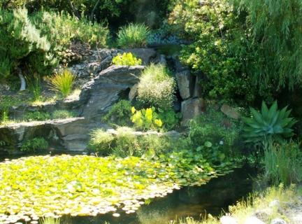 Bild 2 zur Urlaubsidee »Zen Workshop auf La Palma - Gesundheit, Vitalität, Energie für Veränderung«