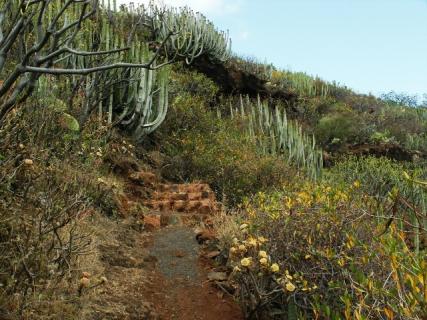 Bild 8 zur Urlaubsidee »Zen Workshop auf La Palma - Gesundheit, Vitalität, Energie für Veränderung«