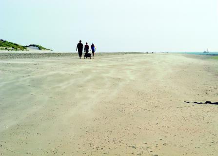 Bild 3 zur Urlaubsidee »Saisonstart auf Spiekeroog:  Neue Strandkörbe, Spielplätze , Seehundfahrten und mehr«