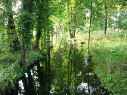 Bild 2 zur Urlaubsidee »Individuelle Rundtour auf dem Gurkenradweg im Spreewald«