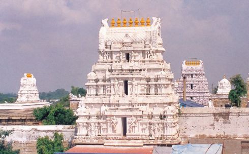 Bild 7 zur Urlaubsidee »Spirituelles Süd-Indien – Fünf Elemente Shiva-Tempel Tour«