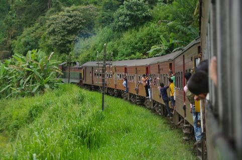 Bild 3 zur Urlaubsidee »Sri Lanka Intensiv«