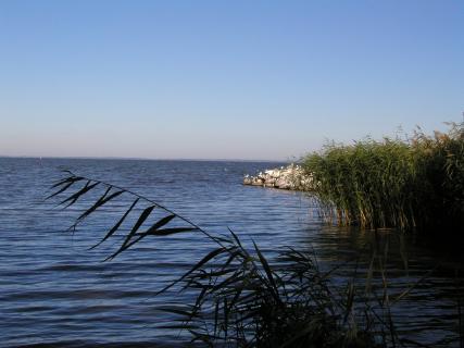 Bild 6 zur Urlaubsidee »Erlebnisreiche Radreise von Frankfurt/Oder nach Usedom«