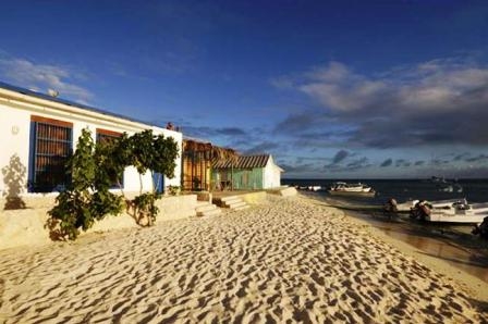 Bild 4 zur Urlaubsidee »Singlereise: Rundreise Venezuela - Regenwald und Karibik«