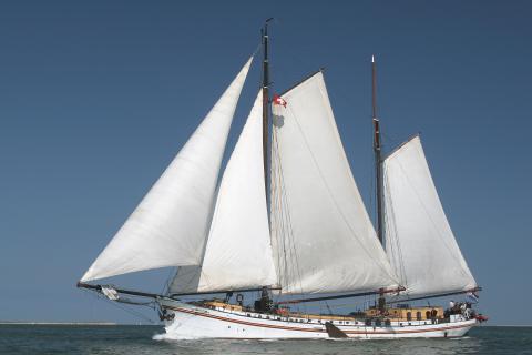 Bild 1 zur Urlaubsidee »SEGELN und RADELN an HOLLANDS KÜSTEN«