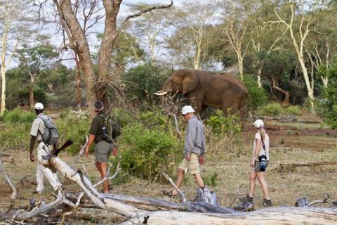 Bild 2 zur Urlaubsidee »Südafrika intensiv erleben: Johannesburg, Krüger Nationalpark, Garden Route bis Kapstadt «