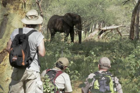 Bild 3 zur Urlaubsidee »Südafrika intensiv erleben: Johannesburg, Krüger Nationalpark, Garden Route bis Kapstadt «