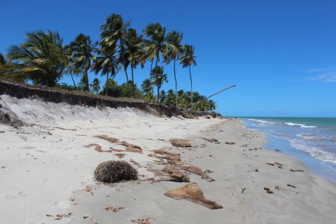 Bild 3 zur Urlaubsidee »Strandurlaub in Nordost-Brasilien«