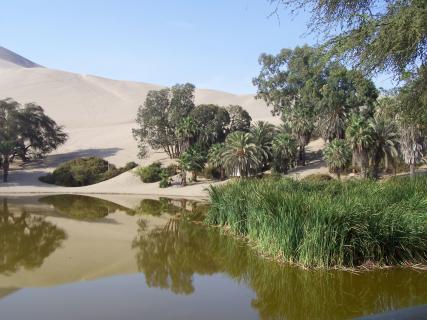 Bild 5 zur Urlaubsidee »TOUR PERU KOMPAKT 16 TAGE - AB 6 TEILNEHMER«