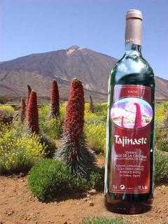 Bild 2 zur Urlaubsidee »Wein aus Teneriffa – ein Inselschatz für Kenner«
