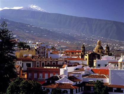 Bild 3 zur Urlaubsidee »Wein aus Teneriffa – ein Inselschatz für Kenner«