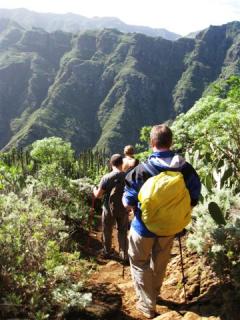 Bild 2 zur Urlaubsidee »Eindrucksvolle Vulkaninsel – Teneriffa zum Wandern & Relaxen!«