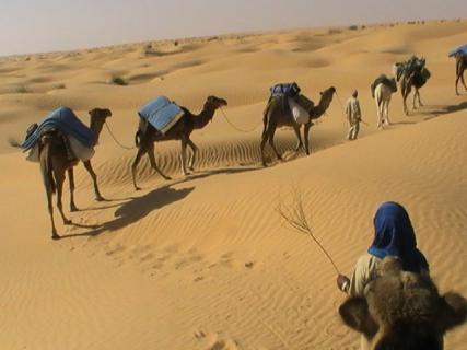 Bild 1 zur Urlaubsidee »In der südtunesischen Sahara den Alltag einer Wüstenkarawane erleben«