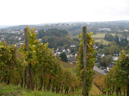 Weinprobe für singles trier