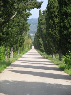 Bild 3 zur Urlaubsidee »UMBRIA in Cabrio – UMBRIA in Classic Car«