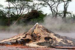 Bild 5 zur Urlaubsidee »Uganda - Safari Rundreise«