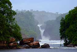 Bild 8 zur Urlaubsidee »Uganda - Safari Rundreise«