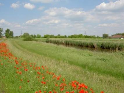 Bild 2 zur Urlaubsidee »Individuelle Radreise am Unstrut-Radweg von Mühlhausen nach Halle«