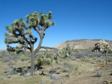 Bild 3 zur Urlaubsidee »USA - Der Westen ab Los Angeles«
