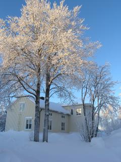 Bild 2 zur Urlaubsidee »Langlauf in Lappland«