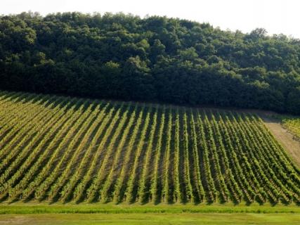 Bild 3 zur Urlaubsidee »Majestätischer Landsitz Provinz Alessandria - Piemont«