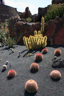 Bild 4 zur Urlaubsidee »Lanzarote zum Wandern mit Relax & Kultur – Lavafelder und Feuerberge!«