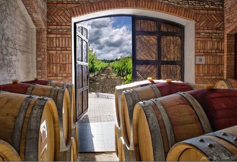 Bild 1 zur Urlaubsidee »Kultur- & Weinreise Moldawien - Odessa - Halbinsel Krim (8 Tage/7Nächte)«