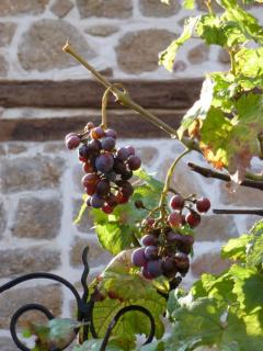 Bild 2 zur Urlaubsidee »Weinreise Chalkidiki«