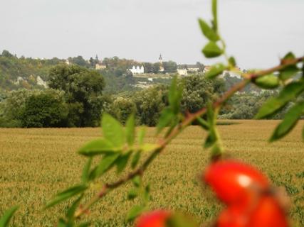 Bild 3 zur Urlaubsidee »Genießer-Radtour am Saaleradweg von Saalfeld nach Halle«