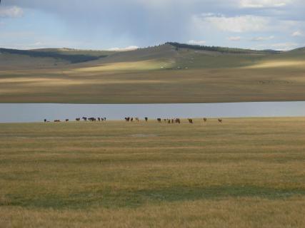 Bild 2 zur Urlaubsidee »Mit Zelt und Pferd durch den Norden der Mongolei«
