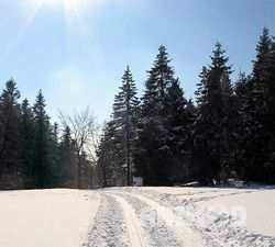 Bild 1 zur Urlaubsidee »Sauerland Winterland – Wo die Schneekönige wohnen «