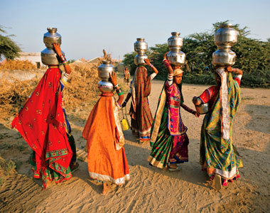 Bild 1 zur Urlaubsidee »Erlebnisreise nach Rajasthan, Tigersafari und Besuch im Rattentempel«