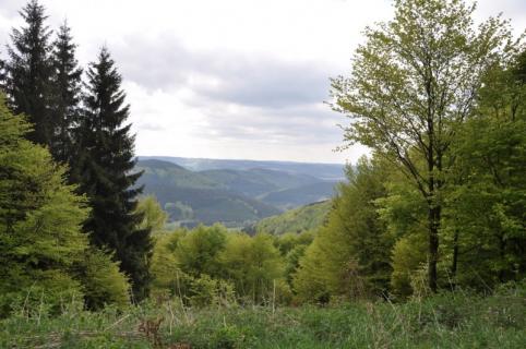 Bild 1 zur Urlaubsidee »Vom Arnsberger Wald durchs Sauerland ins Siegerland wandern«