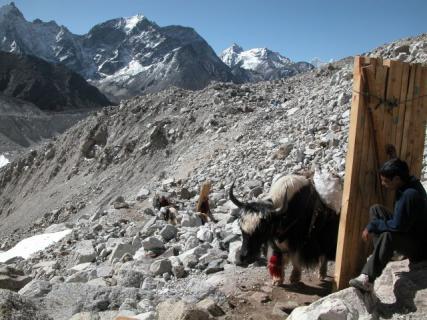 Bild 4 zur Urlaubsidee »Trekking in Nepal - Mount Everest Basislager / Kalapattar «