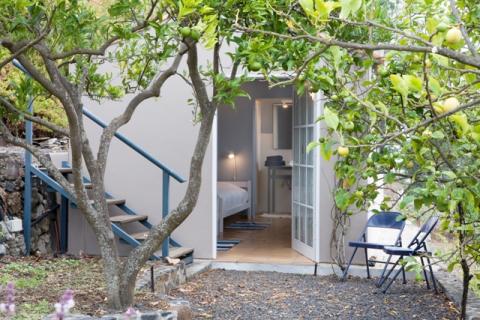 Bild 5 zur Urlaubsidee »Zen Workshop auf La Palma - Gesundheit, Vitalität, Energie für Veränderung«