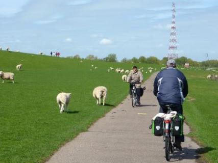 Bild 1 zur Urlaubsidee »Radreise am Elberadweg von Hamburg über Cuxhaven zurück nach Hamburg«