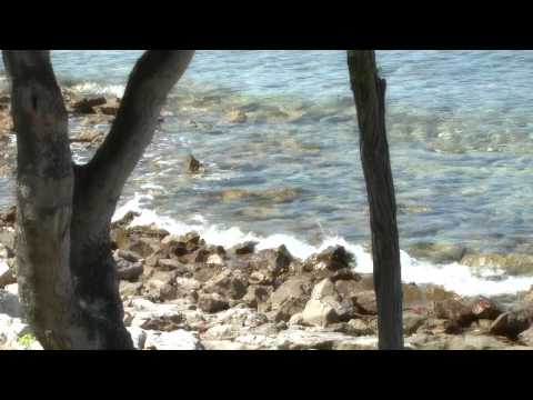 See video