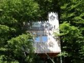 Baumhaus