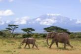 Severin_kenya