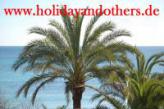 holidayandothers