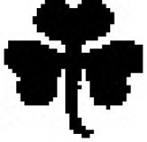 Shamrock Reisen